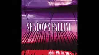 Various ‎– Shadows Falling  60s Garage Rock Psychedelic Beat Fuzz Punk Music Compilation ALBUM [upl. by Boleslaw708]