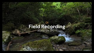 Field Recording 1  Zoom F3ZPC1  Relaxing Nature Sounds [upl. by Gleeson715]