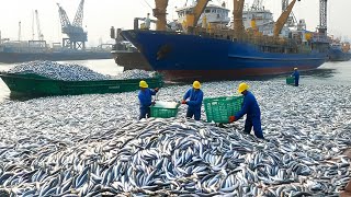 Ocean Giants Fishing  Inside Europe’s High Tech Fishing Fleet Catching Hundreds of Tons Cod At Sea [upl. by Nillor]