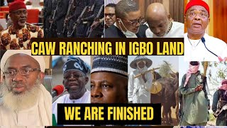 TENSION ALLOWING FULANI TERRORST COW RANCH IN IGBO LAND WILL EXPOSED OUR LAND TO TERRO ABARIBE [upl. by Takeshi]