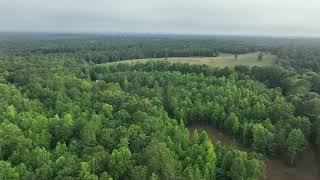 168 Acres in Woodland AL [upl. by Davita689]