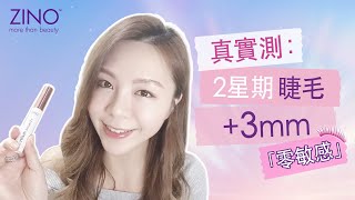 【14天真實測  睫毛長咗3mm‼️】｜ZINO濃睫毛增長液｜修護睫毛｜增長增多｜自然捲翹｜Eyelash Serum｜ [upl. by Trueman319]