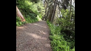 Walking the Auke Lake Trail in Juneau AK [upl. by Arreyt26]