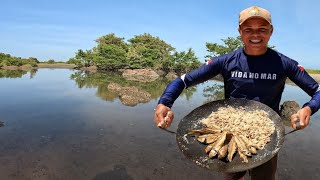 TAINHA FRITA no DISCO de ARRADO e FEIJÃO VERDE  PESCANDO E PREPARANDO NA HORA [upl. by Nahama]