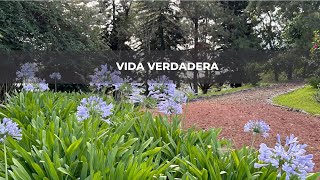 Vida Verdadera [upl. by Justino]