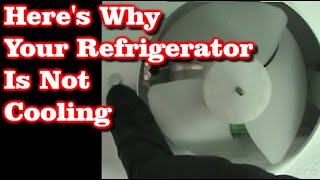 Refrigerator Not Cooling But Freezer Is Fine [upl. by Yenruoj694]