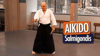 AIKIDO  Salmigondis Aikido Iwama [upl. by Aromat]