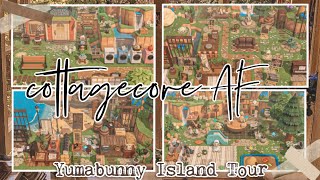 CLUTTERED COTTAGECORE AF Island Tour  Animal Crossing New Horizons [upl. by Sapowith]