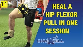 Fix a Hip Flexor Pull in One Session  The Miracle Exercise  Ep11 [upl. by Noissap42]