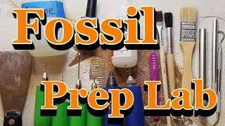 How I set up my fossil prep lab [upl. by O'Donoghue]