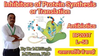 Inhibitors of Protein Synthesis or Translation  Biochemistry  BP203T  L58 [upl. by Merrilee346]