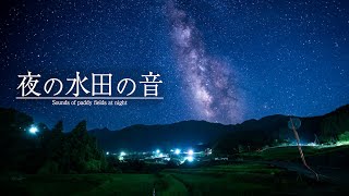 【安眠用BGM】夜の水田の音 [upl. by Nordgren625]