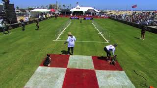 1st Place Dog Weave Poles  Incredible Dog Challenge 2024 [upl. by Alaehcim135]