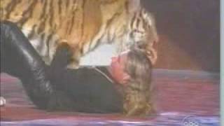 Wild Tiger Attack Stunt at Award Show [upl. by Lunn]