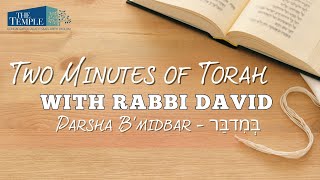 Two Minutes of Torah with Rabbi David  B’midbar  בְּמִדבַּר [upl. by Ephrem]