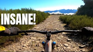 Conquering the Most Insane MTB Trail in Madeira Island [upl. by Salomon]