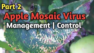 Part 2 Apple Mosaic Virus its management  Treatment  control  by Dr Syed Samiullah [upl. by Bakki]