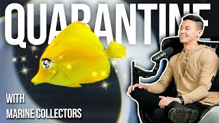 Fish Quarantine Secrets with Elliot Lim  Tidal Gardens Podcast Ep 6 [upl. by Ettennahs]