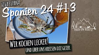 Wir kochen lecker Und über uns kreisen die Geier [upl. by Ahsyla]