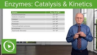 Enzymes Catalysis Kinetics amp Classification – Biochemistry  Lecturio [upl. by Esyli]