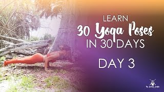 Day 3  Chaturanga Dandasana  30 Pose Journey [upl. by Breen]