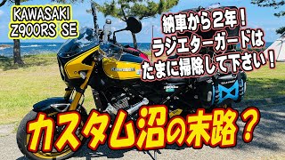 【Z900RS SE】2024年プチカスタム完成披露。残すはフェンダーレスを導入するかどうか？夏は北海道ソロキャンプ旅に行きます。64才ぼっちライダーの挑戦！ 【還暦すぎたら遊ぼうよ♪】 [upl. by Nallij]