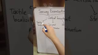 Sensory ExaminationSensory System ExaminationExamination Of Sensory Nervous system [upl. by Guimar]