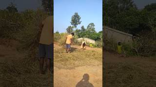 Nee kastamidhi farming agriculture natural farming farmar [upl. by Arabel]