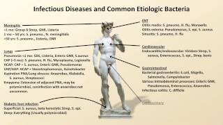 Bacterial Etiologies of Common Infections Antibiotics  Lecture 2 [upl. by Tingey519]