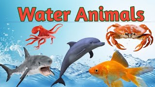 water animals top 10 water animals nameActivekids [upl. by Ellehcin]