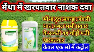 मेंथा में खरपतवार नाशक दवा मोंथामकड़ादूब घास सभी प्रकार के खरपतवारओं का खात्माmentha ki kheti [upl. by Carper259]