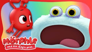 Meet Gobblefrog  Morphle and the Magic Pets  Available on Disney and Disney Jr [upl. by Nevanod405]