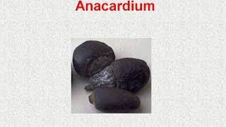 ANACARDIUM  ΑΝΤΙΜΕΤΩΠΙΣΗ ΟΞΕΩΝ ΚΑΤΑΣΤΑΣΕΩΝ ΜΕ ΟΜΟΙΟΠΑΘΗΤΙΚΗ [upl. by Eliades]