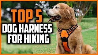 ✅Top 5 Best dog harness for hiking in 2024 [upl. by Asilana]