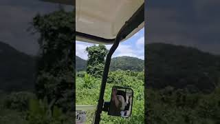 Off Road Golf Cart drive in Belize Wait for the end Sound on [upl. by Fadiman]