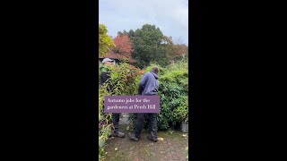 Autumn jobs for the gardeners at Perch Hill [upl. by Slerahc]