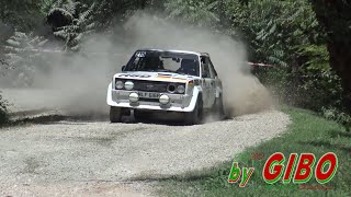 5° Rally Storico del Medio Adriatico 2023 [upl. by Marijane]