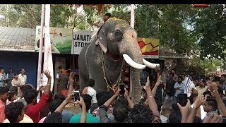 കാളി  കേരളത്തിൻറെ അഭിമാനം ബാഹുബലി  ചിറക്കൽ കാളിദാസൻ  CHIRAKKAL KALIDASAN [upl. by Asirram586]