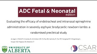 Endotracheal and intranasal epinephrine in severely asphyxic bradycardic newborn lambs [upl. by Suoivatra254]