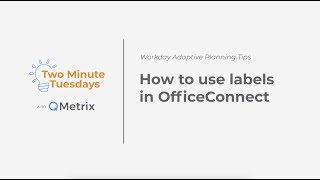 How to use labels in OfficeConnect  Workday Adaptive Planning [upl. by Celik]