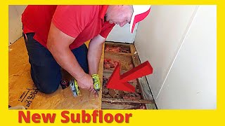 Replacing Water Damaged Subfloor [upl. by Zahc358]