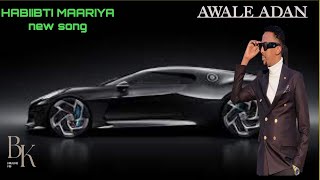 AWALE ADAN 2023HABIIBTI MAARIYANEW SONG [upl. by Joslyn547]