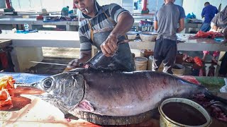 TECHNIQUE CUTTING MONSTER XIPHIAS GLADIUS FISH  STUNNING EXPERT CUTTER [upl. by Fairbanks]