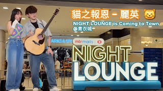 貓之報恩 Acoustic ver  麗英 😺  NIGHT LOUNGE is Coming to Town [upl. by Scrivens905]