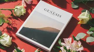 Genesis Chapter 23 The Death of Sarah [upl. by Kcirrez]