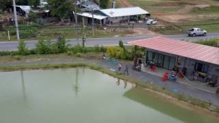 Chalong fishing park drone footage [upl. by Atlante432]