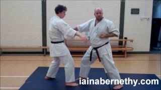 Practical Kata Bunkai Pinan Nidan  Heian Shodan Moves 3 to 6 [upl. by Aurora]