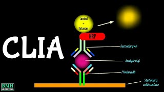 Chemiluminiscence Immunoassay  CLIA Immunoassay [upl. by Ziegler860]