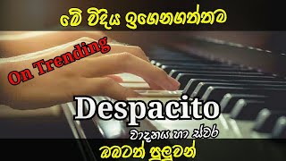 Despasito Keyboard Playing And Notes  EASY Melodica Tutorial [upl. by Breanne]