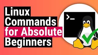 Most Useful Linux  Server Commands for Beginners [upl. by Haggi]